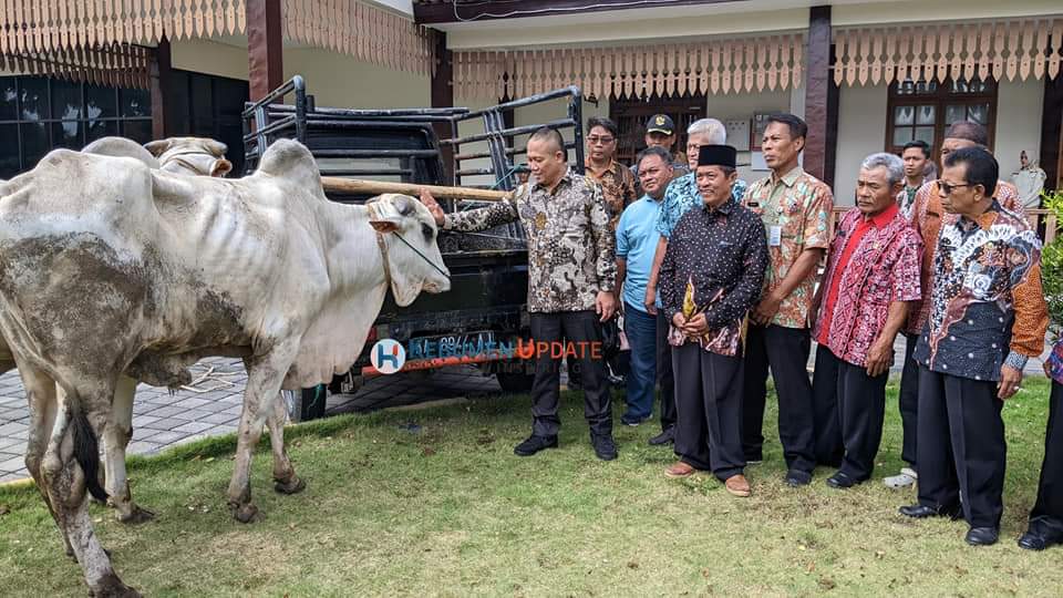 Nglarisi Sapi Lokal, Bupati Beli 8 Ekor Sapi PO untuk Idul&nbsp;Adha